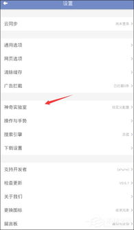 神奇浏览器如何开启首页二屏