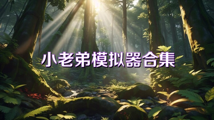 小老弟模拟器合集