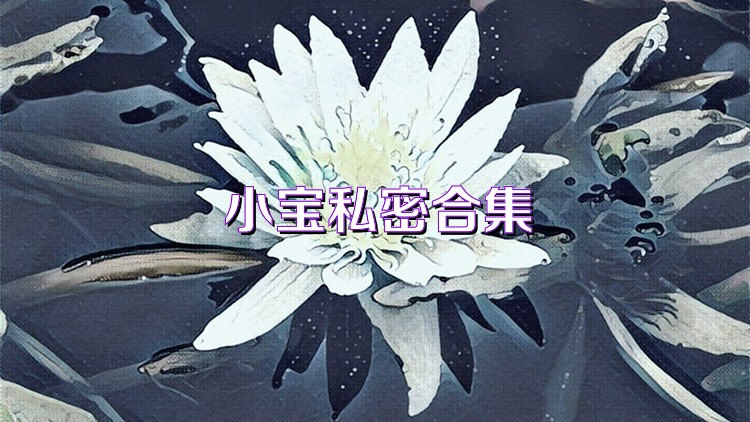 小宝私密合集