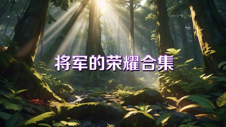 将军的荣耀合集
