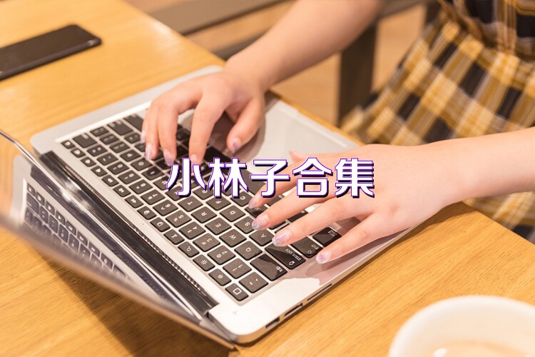 小林子合集