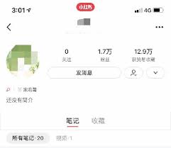 小红书运行推广策略详解