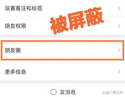 微信朋友圈为什么什么都没有