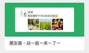 微信能否发送苹果实况图片