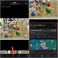 苹果手机如何查看照片拍摄信息