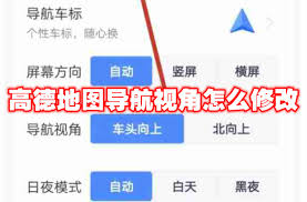 高德地图如何更改导航视角