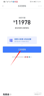 乐花借钱额度如何查询