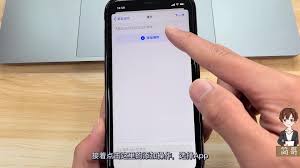 苹果手机换屏保图片