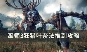 巫师3狂猎叶奈法攻略方法