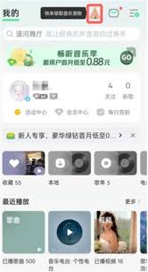 QQ音乐如何激活音乐宠物