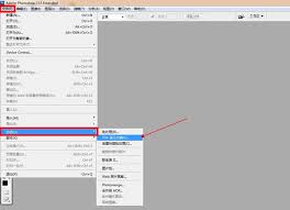 Photoshop CS3使用教程