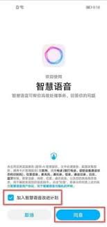 yoyo呼叫如何设置
