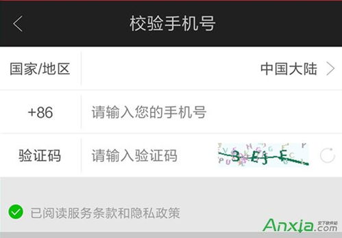 爱奇艺如何分享手机登录二维码