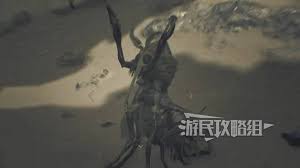 怪物猎人荒野血盗虫地图位置在哪？如何获得掉落素材