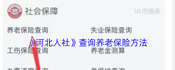 河北人社查询养老金方法