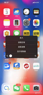 苹果手机变成黑白如何恢复