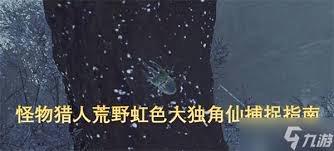 怪物猎人荒野如何找到虹色大独角仙及捕获技巧