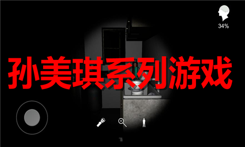 孙美琪系列游戏大全