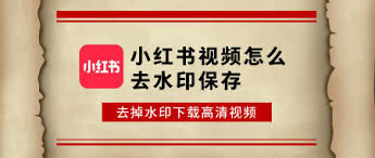 如何去除小红书视频水印下载