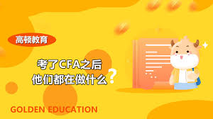 CFGP点太多怎么用