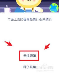 香蕉靠什么繁衍