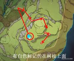 原神树王圣体菇最佳采集路线分享