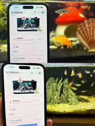 全球首创双AI DeepSeek如何赋能当贝智能鱼缸