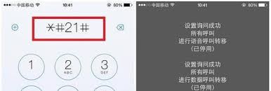 苹果如何取消来电转移
