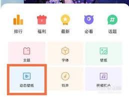 oppo手机怎么设置自己的动态壁纸