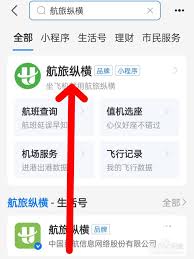 航旅纵横如何手机值机？详细教程来了