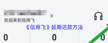 信用飞如何提前进行还款
