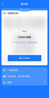 支付宝付款码隐私保护功能设置方法