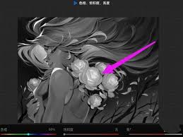 procreate怎么调成黑白色