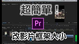 pr如何调整画面尺寸