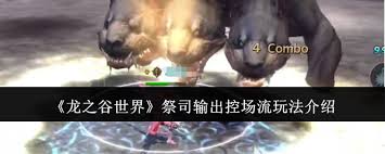 龙之谷世界祭司输出控场流玩法详解