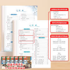 deepseek的正确发音怎么读