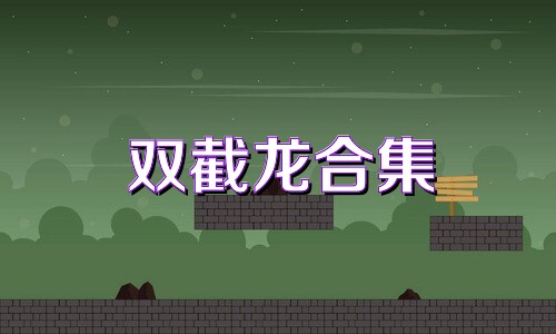 双截龙合集