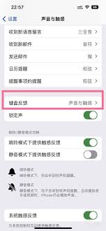 如何关闭iphone按键震动