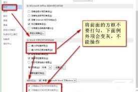 word文档红色波浪线怎么去掉