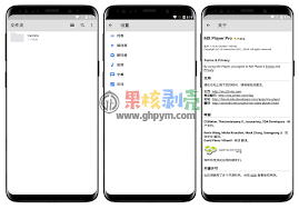 mx播放器如何永久关闭广告