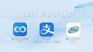 黑龙江全省事如何查询养老金发放