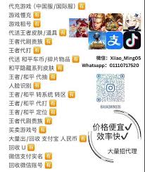 王者荣耀国际服孙尚香钉崎野蔷薇皮肤多少钱