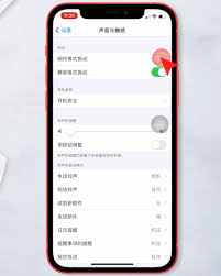 怎么关闭苹果12pro的震动声音