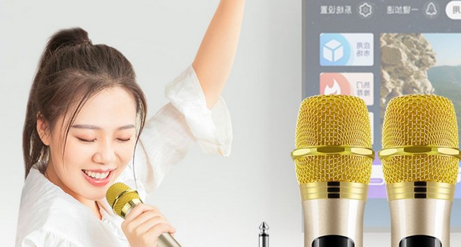 家庭ktv软件