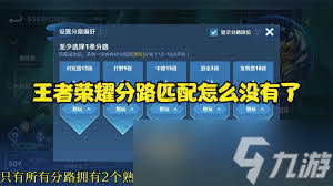 王者荣耀为何不显示分路