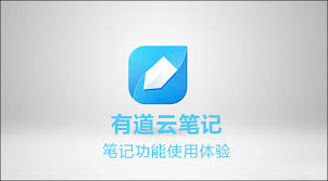 有道云笔记如何添加链接