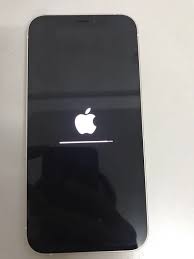 iPhone12 Pro密码忘了怎么办