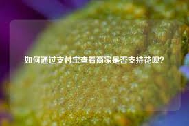 如何在支付宝中查找开通花呗支付的店铺