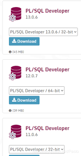 PLSQL Developer官方下载地址在哪