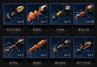 蚂蚁经营类游戏大全